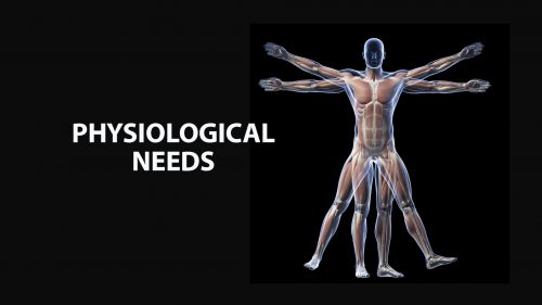 Physiological Needs